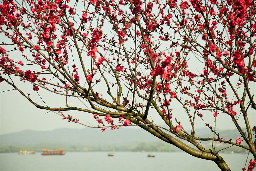 Liuying Hotel West Lake Hàng Châu Ngoại thất bức ảnh